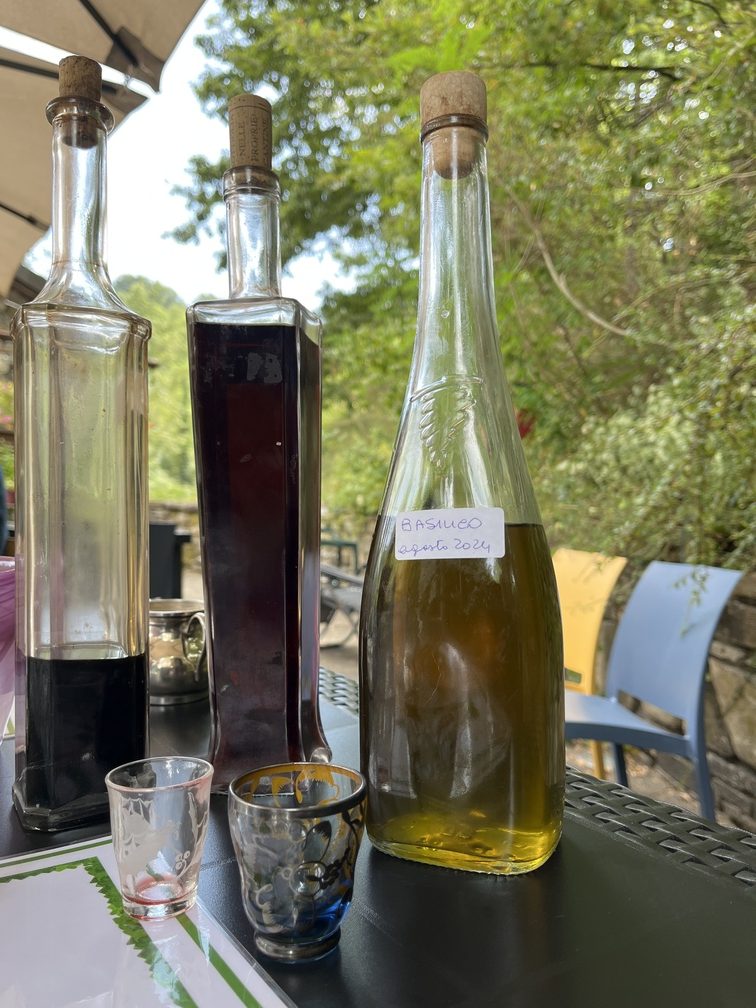San Benedetto Val di Sambro – Il Molino Giovannino, liquori: nocino, prugnolo e liquore al basilico.