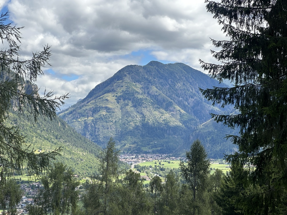 Escursione nel bosco di Zanolin - veduta su Ziano (sotto), Predazzo e il Monte Mulat lungo il sentiero n. 4 Busa Prima.