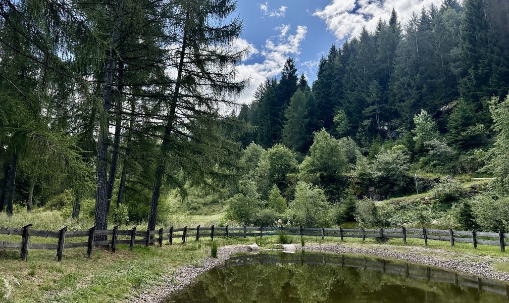 Escursione nel bosco di Zanolin - laghetto lungo il sentiero n. 4 Busa Prima.