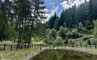 Escursione nel bosco di Zanolin - laghetto lungo il sentiero n. 4 Busa Prima.