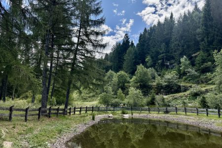 Escursione nel bosco di Zanolin - laghetto lungo il sentiero n. 4 Busa Prima.