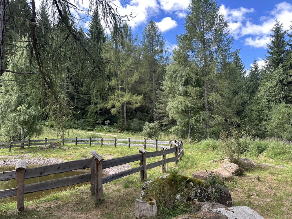 Escursione nel bosco di Zanolin - laghetto lungo il sentiero n. 4 Busa Prima.