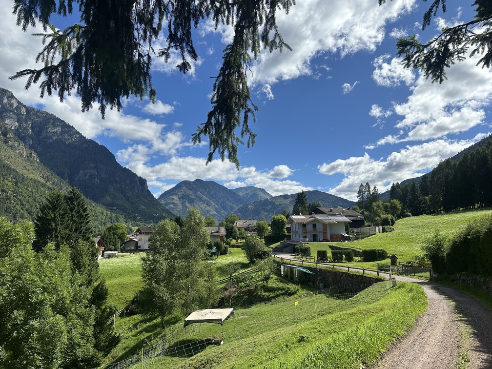 Escursione nel bosco di Zanolin - veduta in direzione di Predazzo con il Monte Mulat, da via Cavelonte.