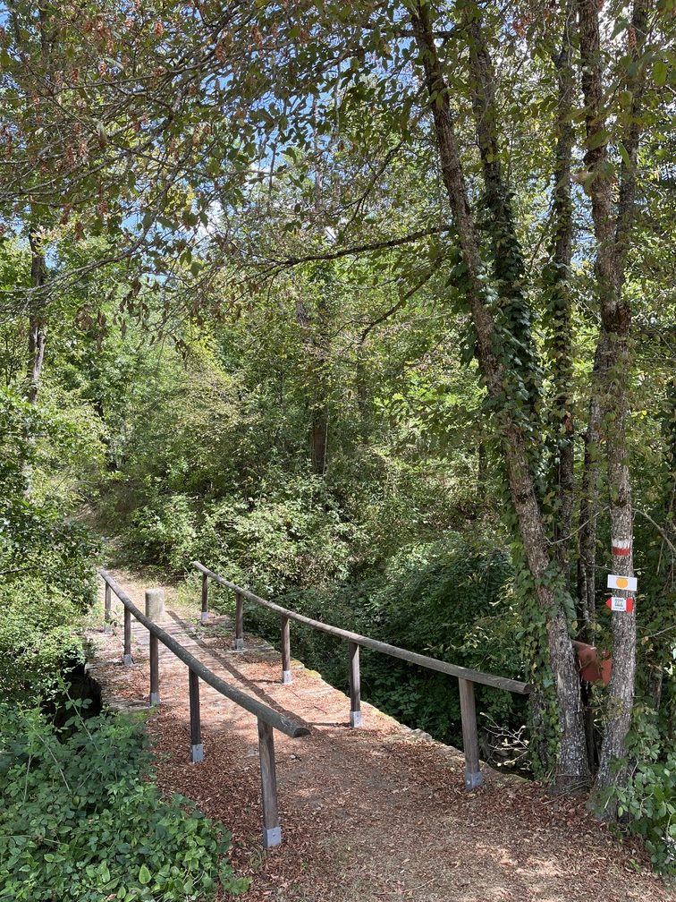 San Benedetto Val di Sambro – sentiero da Borgo Musolesi al Molino Giovannino.