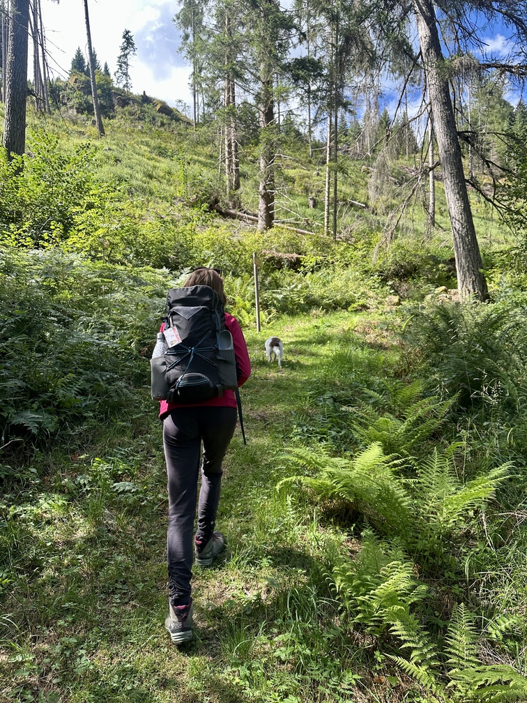 Escursione nel bosco di Zanolin - Federica e Frida lungo il sentiero n. 4 Busa Prima.