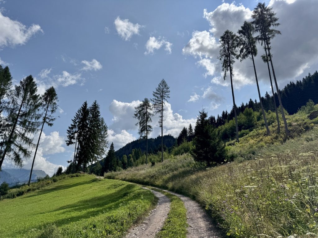 Escursione da Zanolin a Belvedere - sentiero in salita.