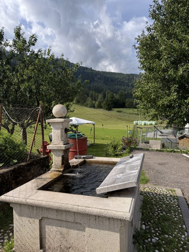 Escursione da Zanolin a Belvedere - fontana uscendo da Zanolin.
