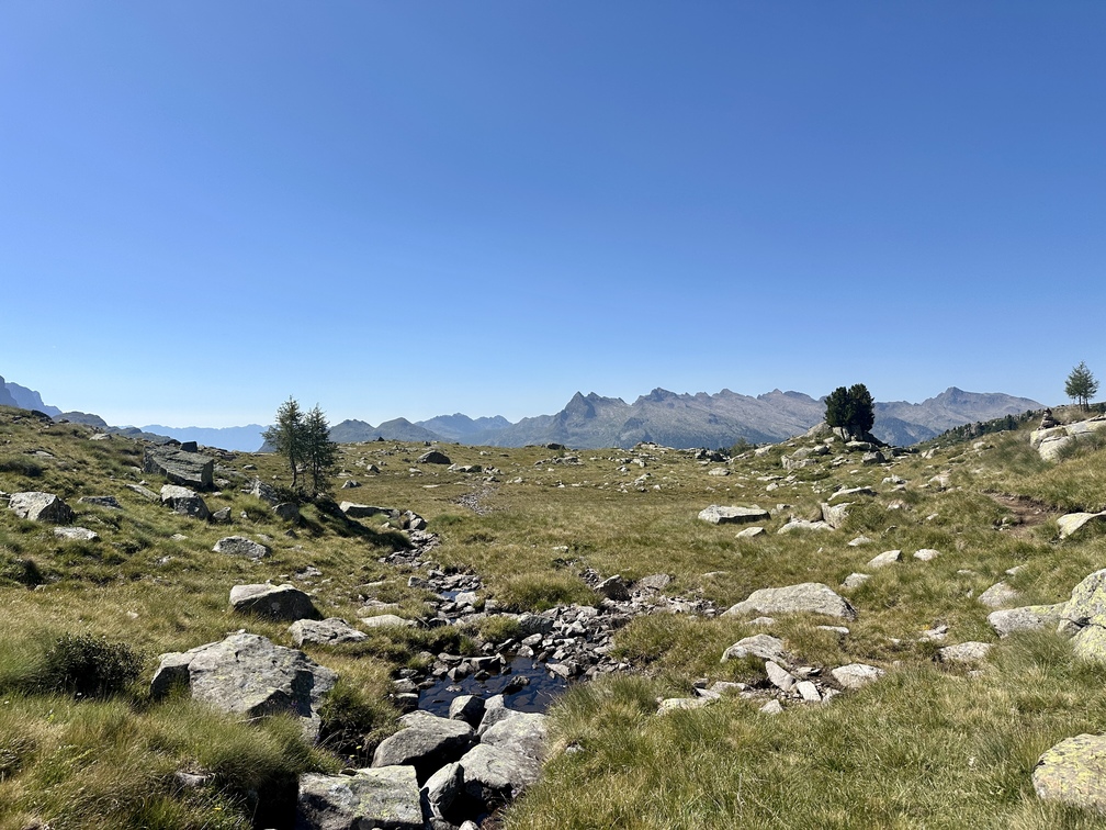 Anello al Lago Juribrutto - sentiero n. 631 in discesa con vista sul Lagorai.