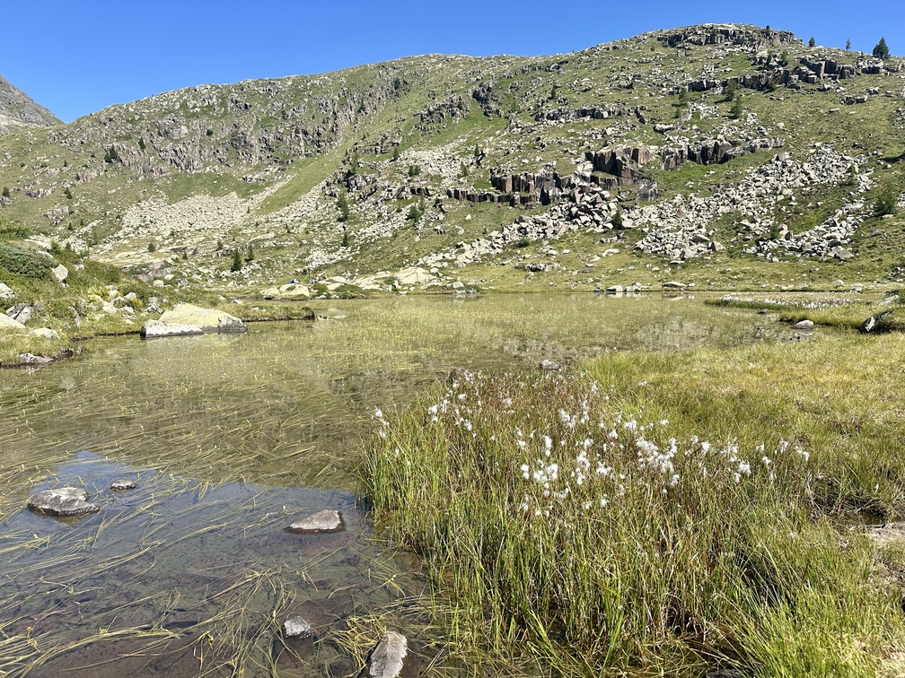 Anello al Lago Juribrutto - Lago Juribrutto con fiori di cotone.