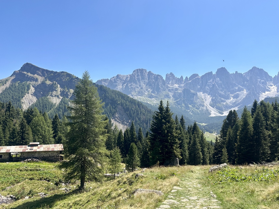 Anello al Lago Juribrutto - Malga Juribrutto e Pale di San Martino.