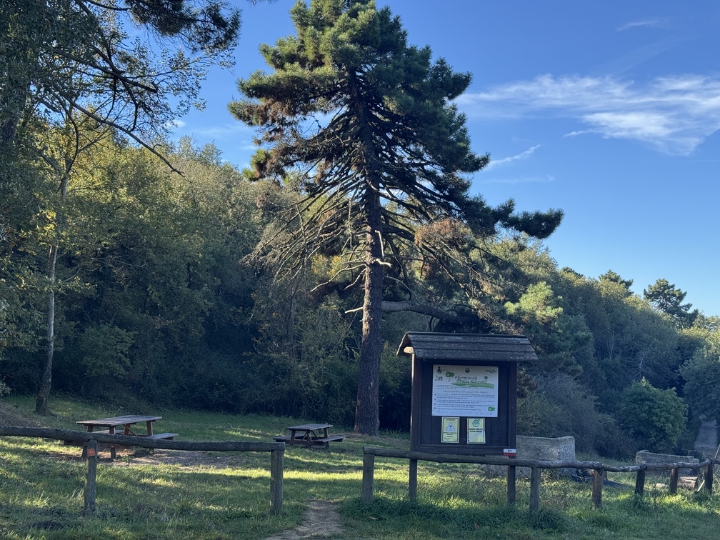 Escursione al Parco di Fonte Santa - area picnic.