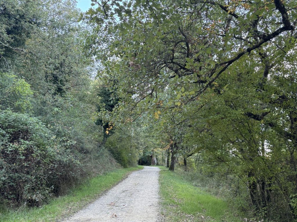 Escursione al Parco di Fonte Santa - sentiero vicino all'area picnic.