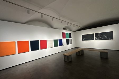 Andrea Büttner (1972, Stuttgart, Germania), "The Poverty of Riches", 2009-2011 (III edizione).