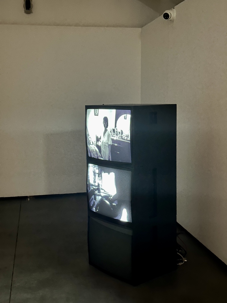 Margaret Salmon (1975, New York, USA), "Ninna Nanna", 2005-2007 (I edizione).