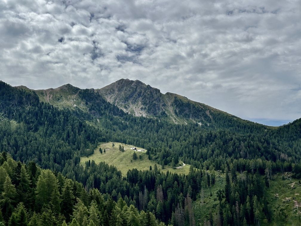 Valfloriana - veduta di Malga Sass e Pala delle Buse da Malga Coston.