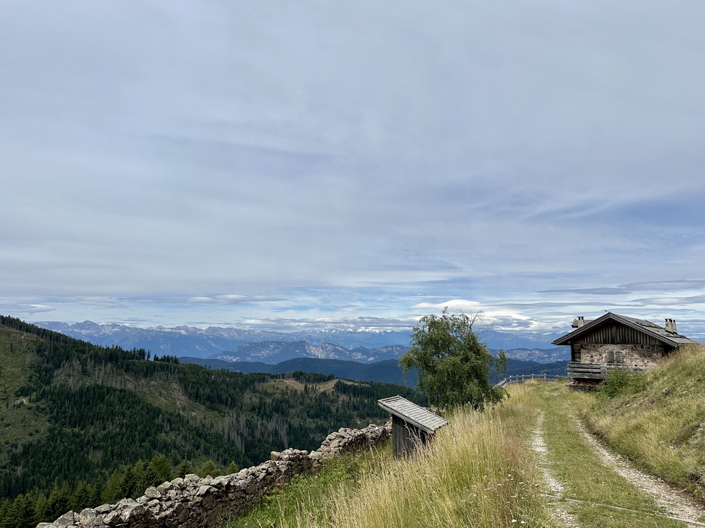 Valfloriana - Malga Coston.