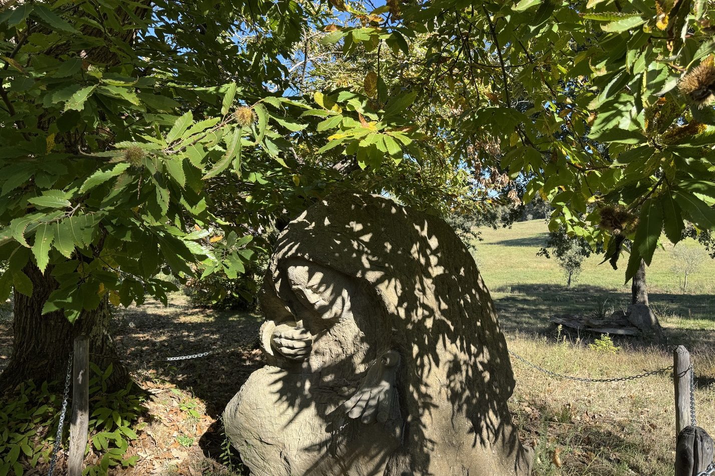 Escursione al Parco di Fonte Santa - opera scultorea di Antonio Crivelli.