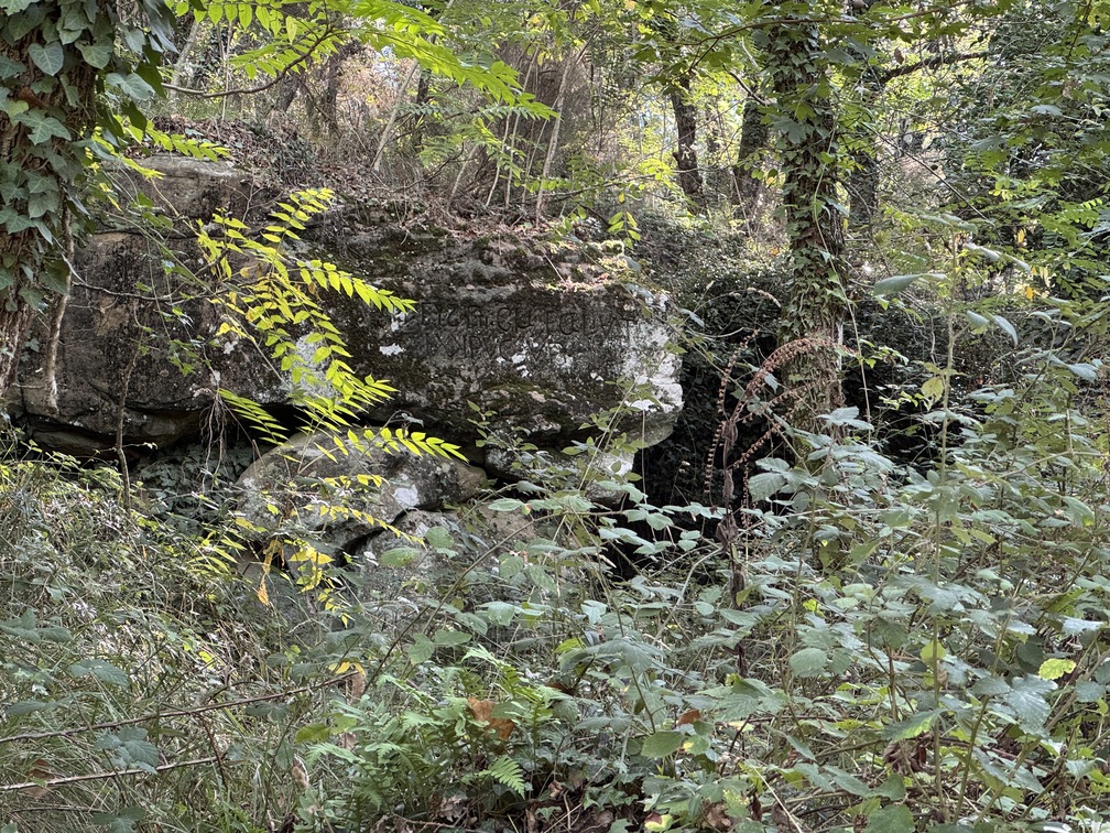 Escursione al Parco di Fonte Santa - Sasso Scritto.