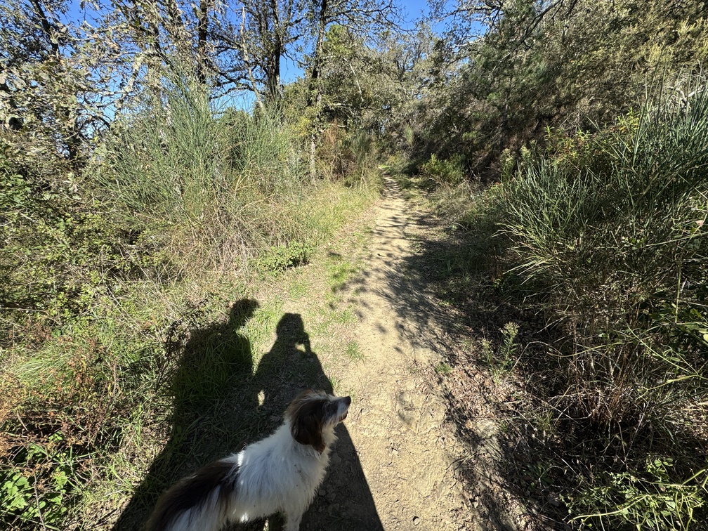 Escursione al Parco di Fonte Santa - sentiero del ritorno.