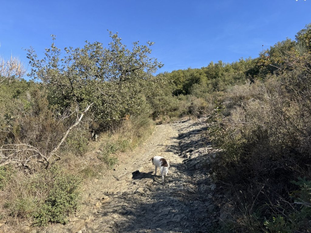 Escursione al Parco di Fonte Santa - sentiero del ritorno.