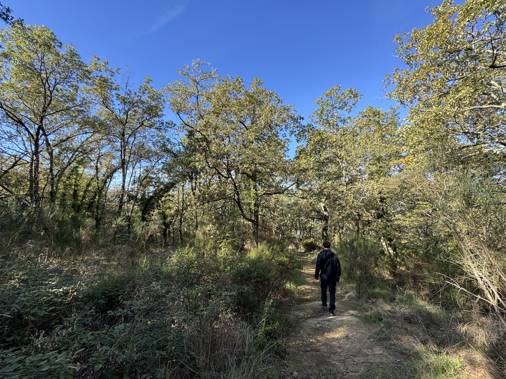 Escursione al Parco di Fonte Santa - sentiero.