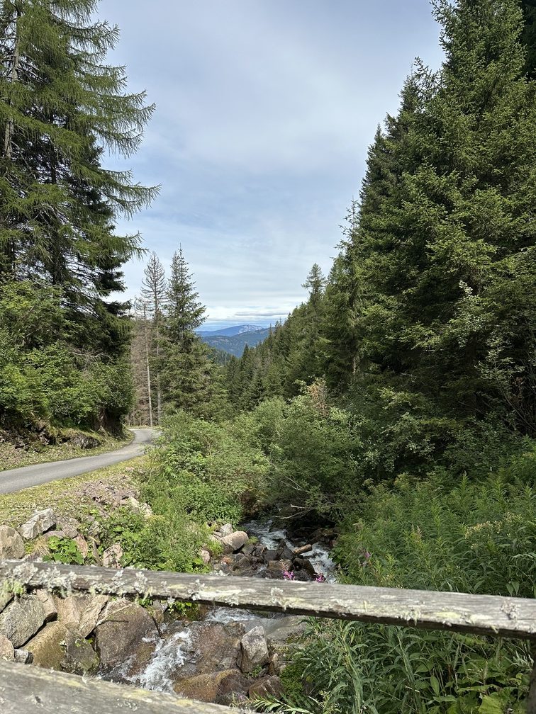 Valfloriana - uno dei ponticelli sul Rio delle Seghe.