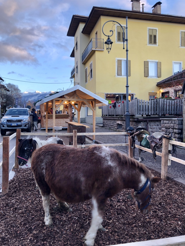 Mercatino di Natale 2025 di Cavalese - recinto dei pony.
