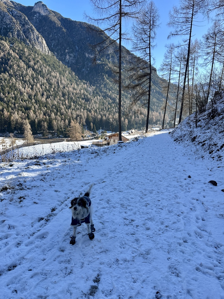 Sentiero da Stava all'Osservatorio Astronomico - Frida e, sullo sfondo, il Monte Cornon/Cornacci.