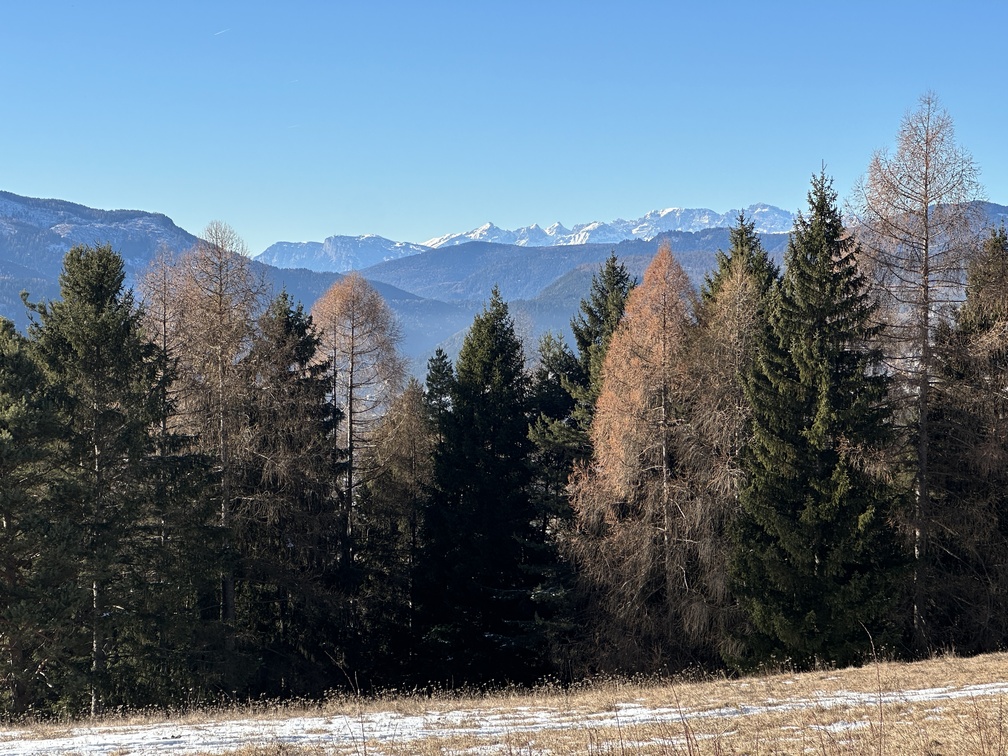 Località Zanon - veduta delle cime oltre la Val d'Adige.