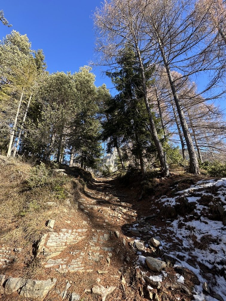 Sentiero da Zanon a Guagiola.
