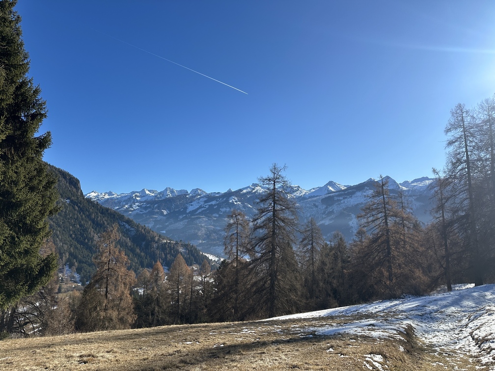 Pascolo di Guagiola - veduta sul Lagorai.