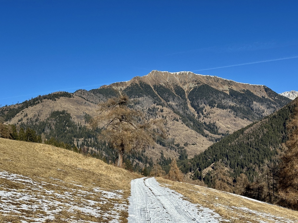 Strada forestale da Guagiola a Stava - Pala Santa.
