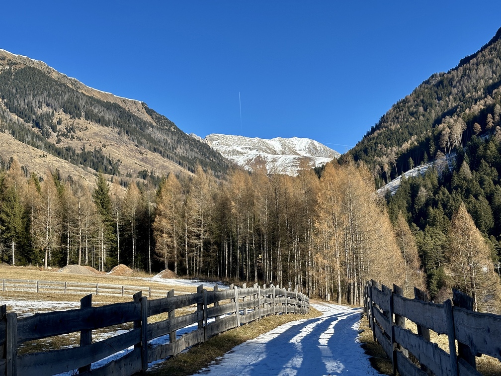 Strada forestale da Guagiola a Stava - veduta sul Latemar.