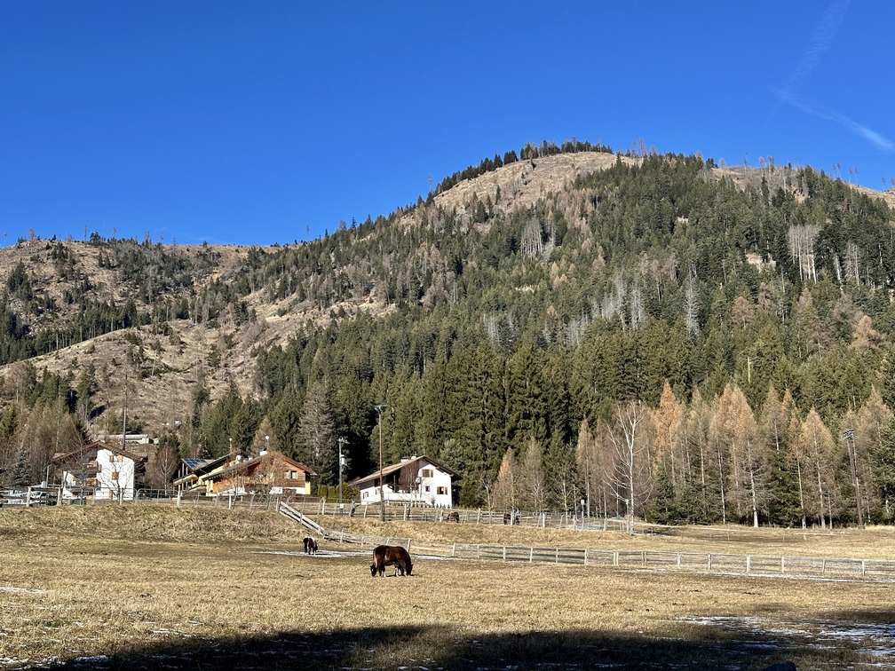Strada forestale da Guagiola a Stava - Ranch El Zerilo.