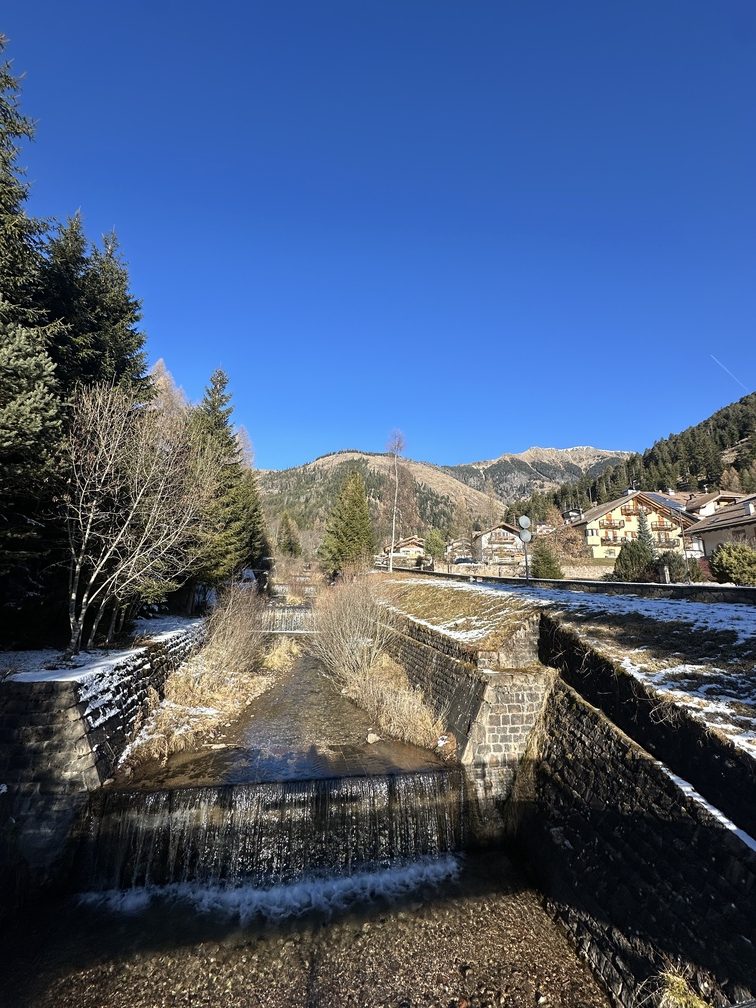 Stava - veduta sul Rio di Val Stava e, sullo sfondo, Pala Santa.