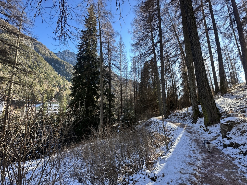 Sentiero da Stava all'Osservatorio Astronomico.