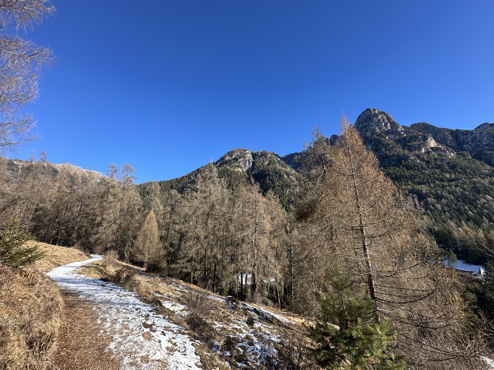 Sentiero da Stava all'Osservatorio Astronomico - veduta su Monte Cornon/Cornacci e Pala Santa.