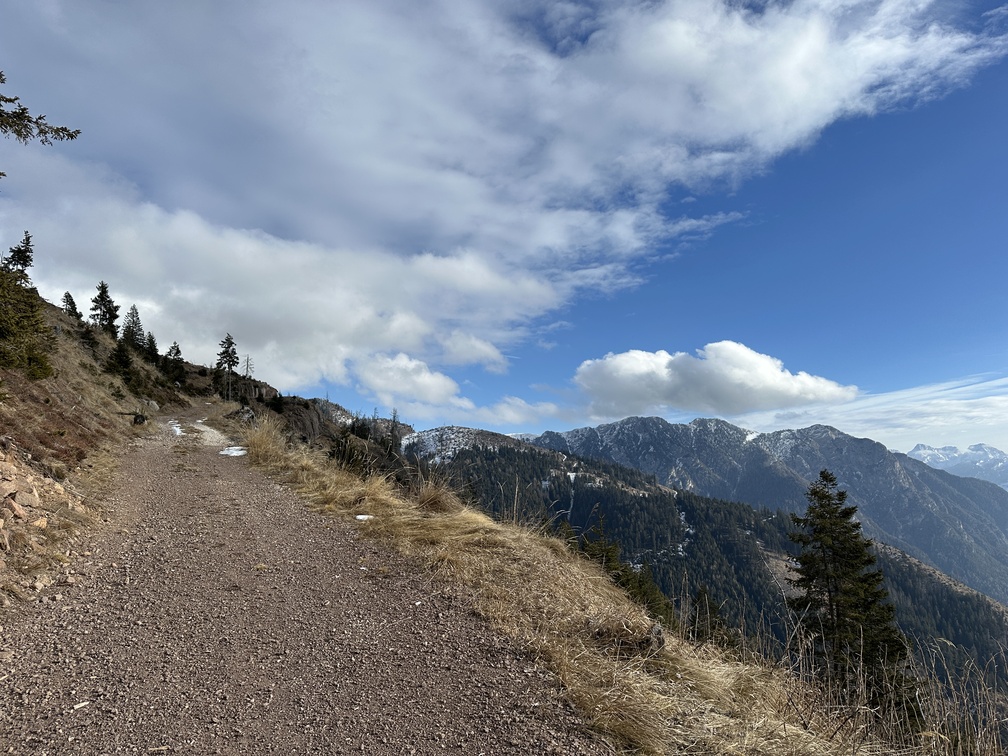 Sentiero da Malga Varena a Malga Le Val - strada forestale Le Val al ritorno con vista su Cornacci.