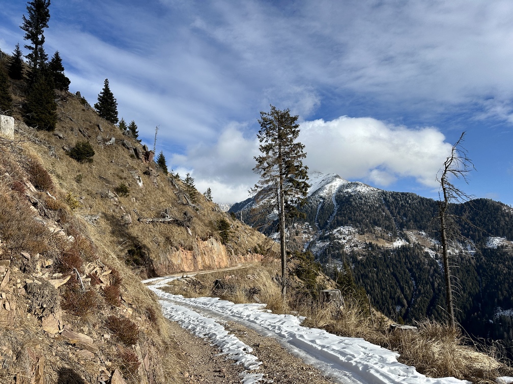 Sentiero da Malga Varena a Malga Le Val - strada forestale Le Val al ritorno con vista su Pala Santa.
