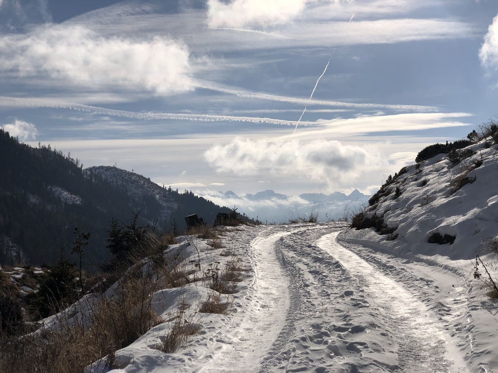 Sentiero da Malga Varena a Malga Le Val - strada forestale Le Val.