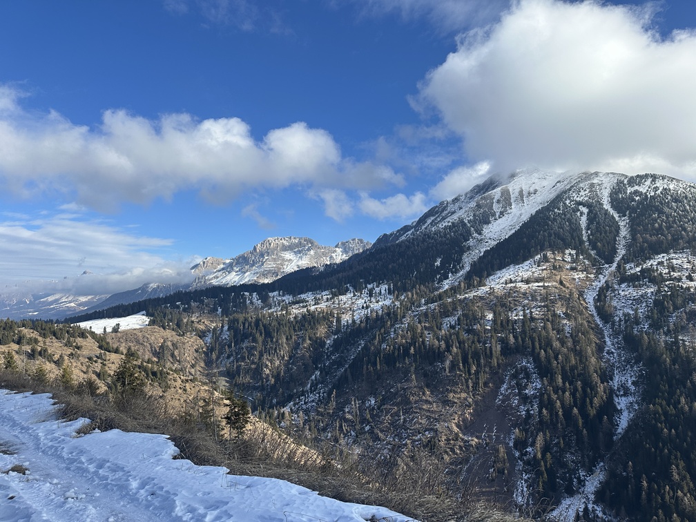 Sentiero da Malga Varena a Malga Le Val - panorama su Pala Santa e, dietro, Latemar.