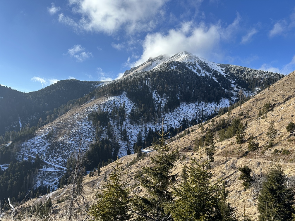 Sentiero da Malga Varena a Malga Le Val - veduta sotto Corno Nero.