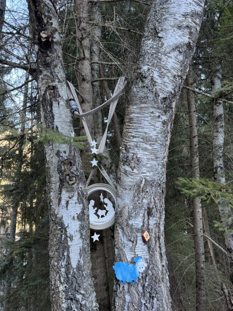 Presepi nel Bosco di Zanolin - lungo il percorso.