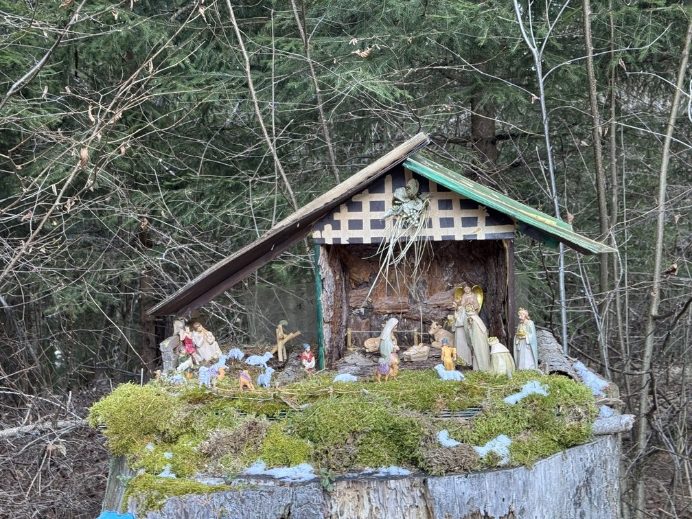 Presepi nel Bosco di Zanolin - lungo il percorso.