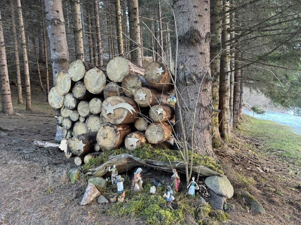 Presepi nel Bosco di Zanolin - lungo il percorso.