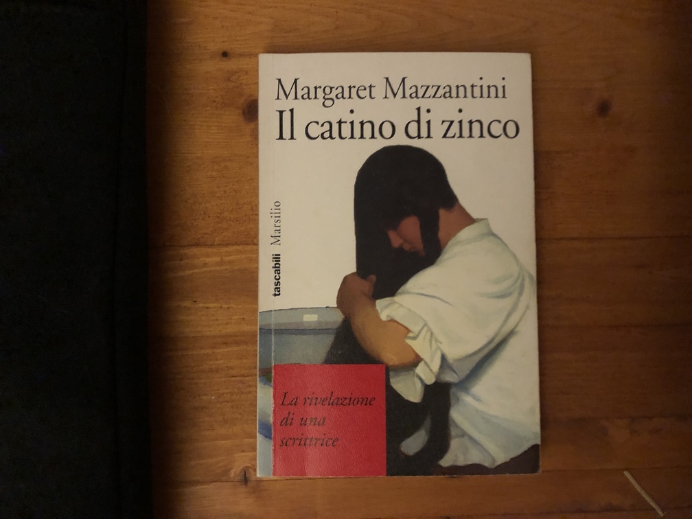 Margaret Mazzantini, "Il catino di zinco", Ed. Tascabili Marsilio, Venezia, 1994.