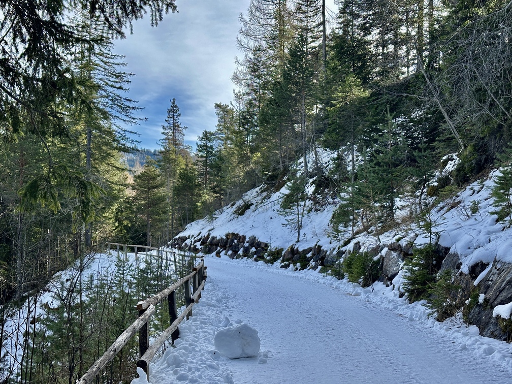 Sentiero n. 2 da Pietralba a Malga Monte San Pietro.