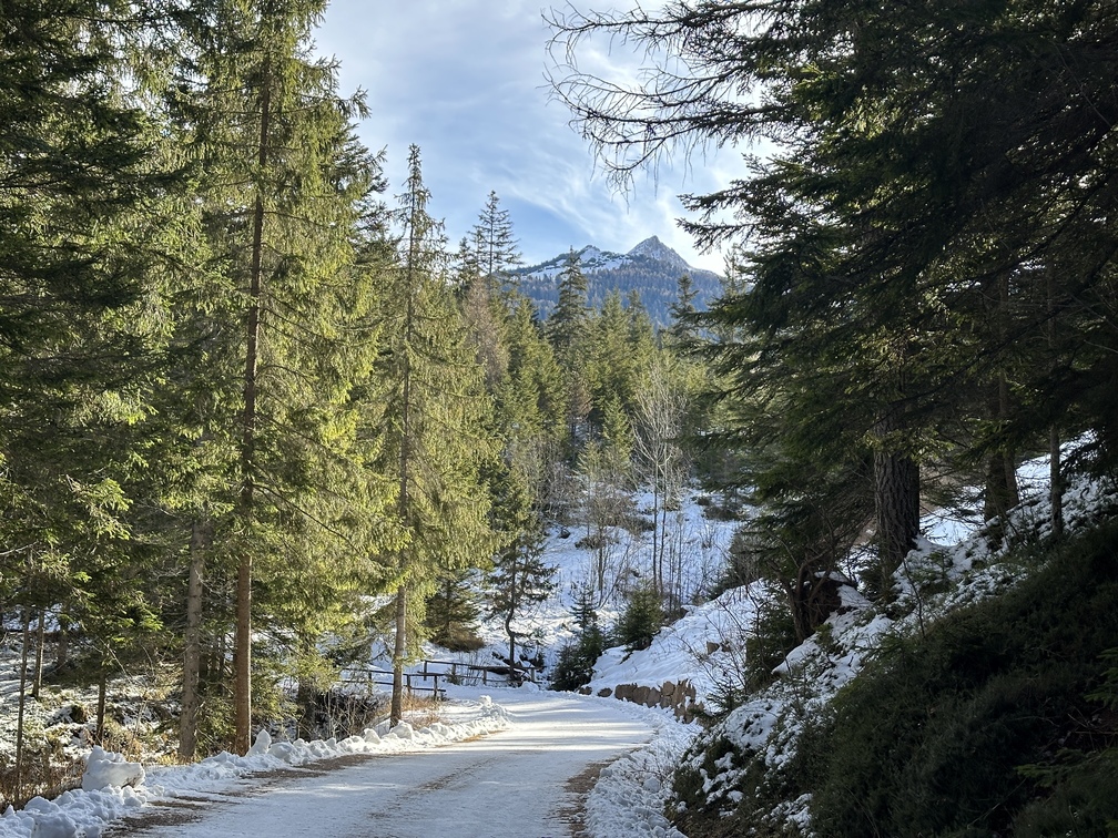 Sentiero n. 2 da Pietralba a Malga Monte San Pietro - veduta su Corno Bianco e, dietro, Corno Nero.