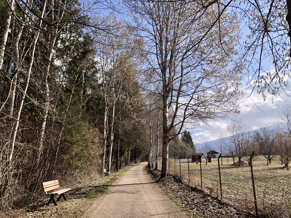 Tratto di ciclopedonale che costeggia l'azienda agricola Terre Altre.