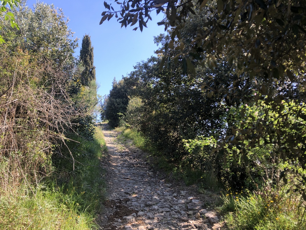 Sentiero n. 616 a Cercina.